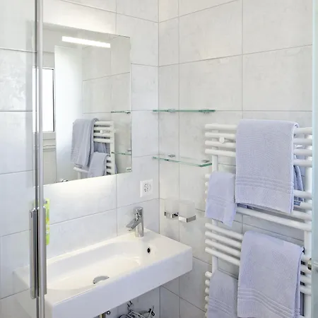 Hotel Park-hotel Saas- Fee 3*