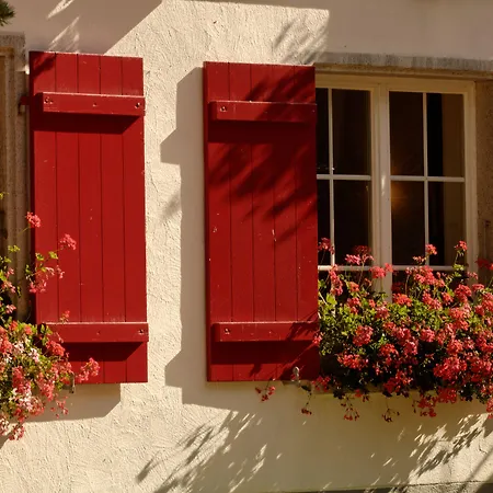 Park-hotel Saas- Fee סאס פה