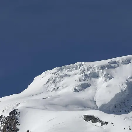 Hotel Park-hotel Saas- Fee 3*