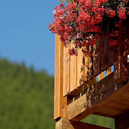 Park-hotel Saas- Fee 3*