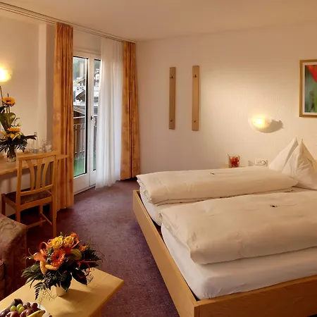 Park-hotel Saas- Fee Hotel 3*