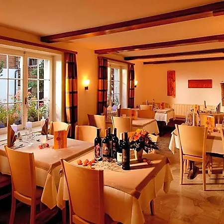 Hotel Park-hotel Saas- Fee 3*