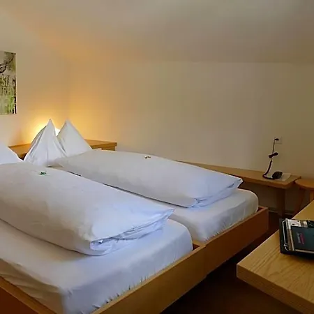 Park-hotel Saas- Fee Saas-Fee