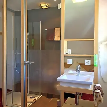 Park-hotel Saas- Fee Hotel 3*