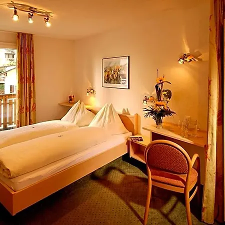 Park-hotel Saas- Fee Hotel