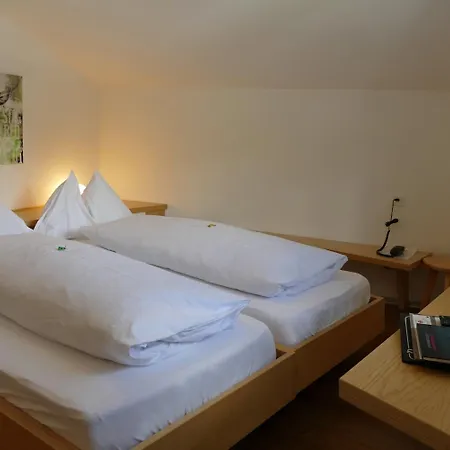 Park-hotel Saas- Fee Saas-Fee
