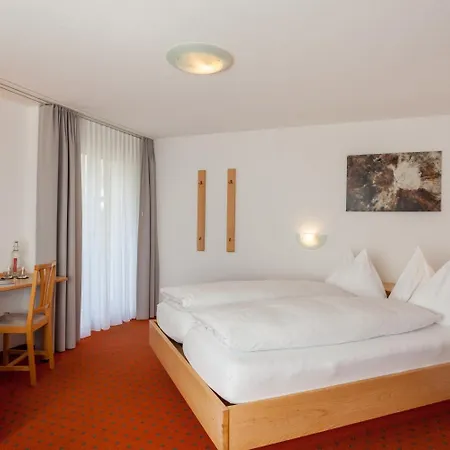 Park-hotel Saas- Fee 3*