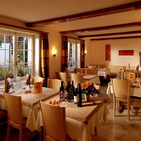 Park-hotel Saas- Fee 호텔 Saas Fee