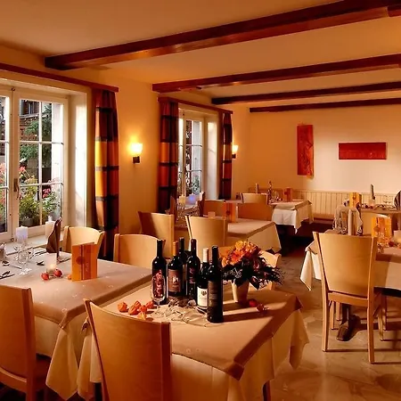 Park-hotel Saas- Fee 3*