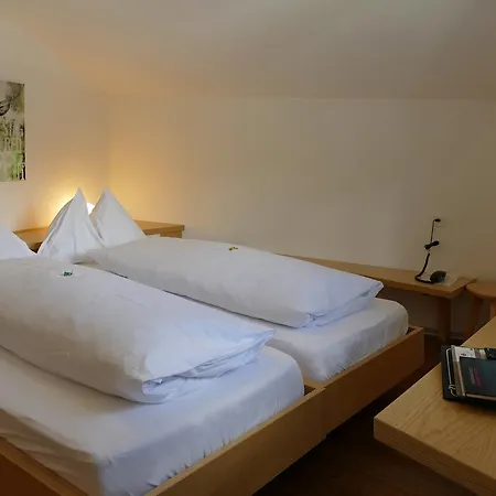 Park-hotel Saas- Fee 3*