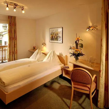 Park-hotel Saas- Fee 3* Saas-Fee