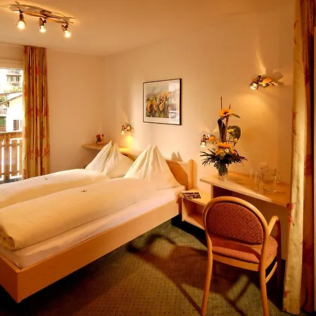 Park-hotel Saas- Fee 3* Saas-Fee