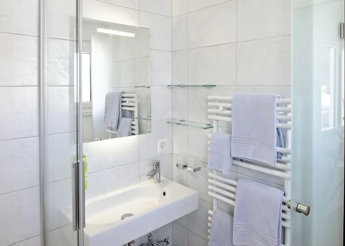 호텔 Park-hotel Saas- Fee 3*