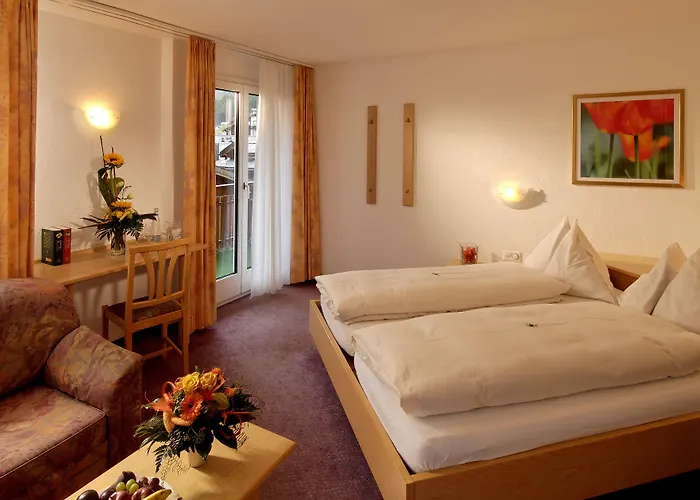 Park-hotel Saas- Fee 호텔 3*