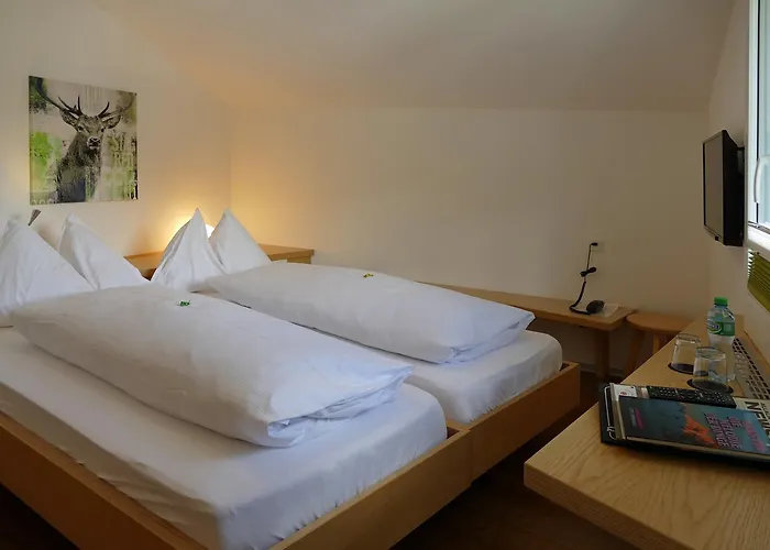 Park-hotel Saas- Fee 3*