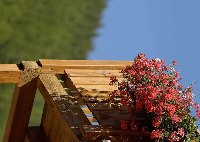 Park-hotel Saas- Fee