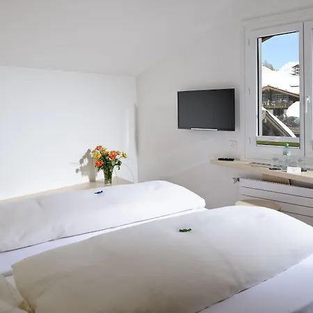 Park-hotel Saas- Fee Saas Fee