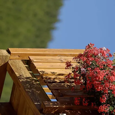 Park-hotel Saas- Fee